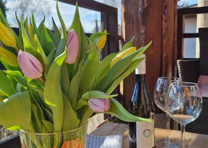 Mediterran Rezidencia Jobb בית נופש *